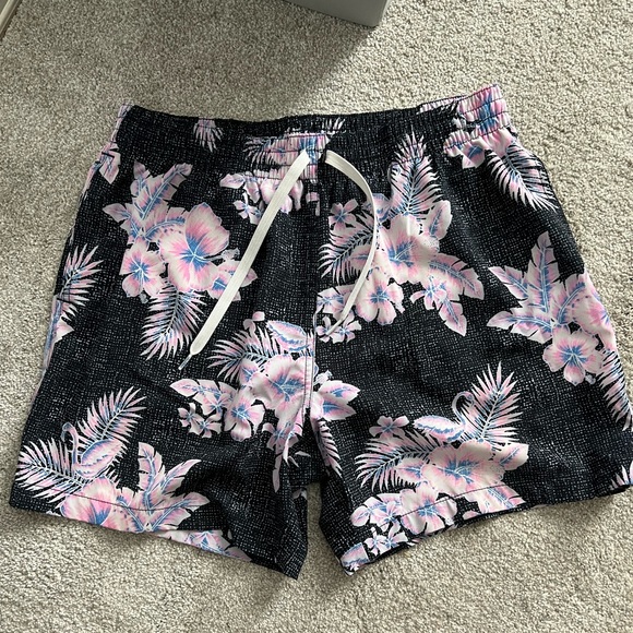 Chubbies Swim Trunks - Picture 1 of 3